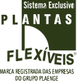 Plantas Flexíveis Plaenge